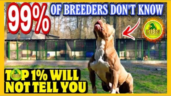 Dog Breeding - A Straightforward Guide - DayDayNews