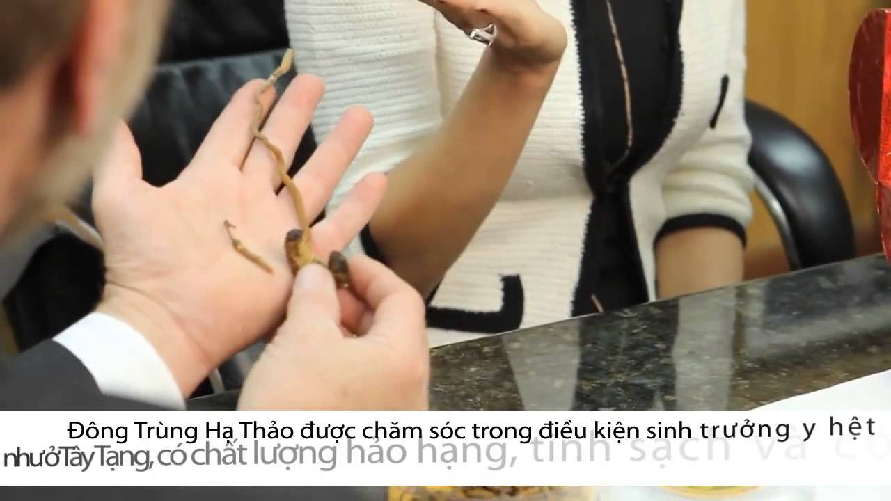 Quy trình nuôi trồng Đông Trùng Hạ Thảo Nutricep... - youtube