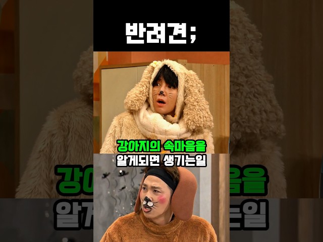 강아지의 속마음을 알게되면 생기는일 #웃긴영상 #웃긴짤 #개그