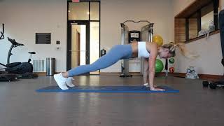 plank with alternating shin/toe taps