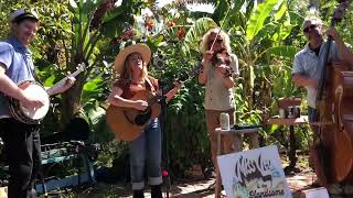 Sweet Cataviña - Miss Leo & The Handsome Fellers (Live) Details