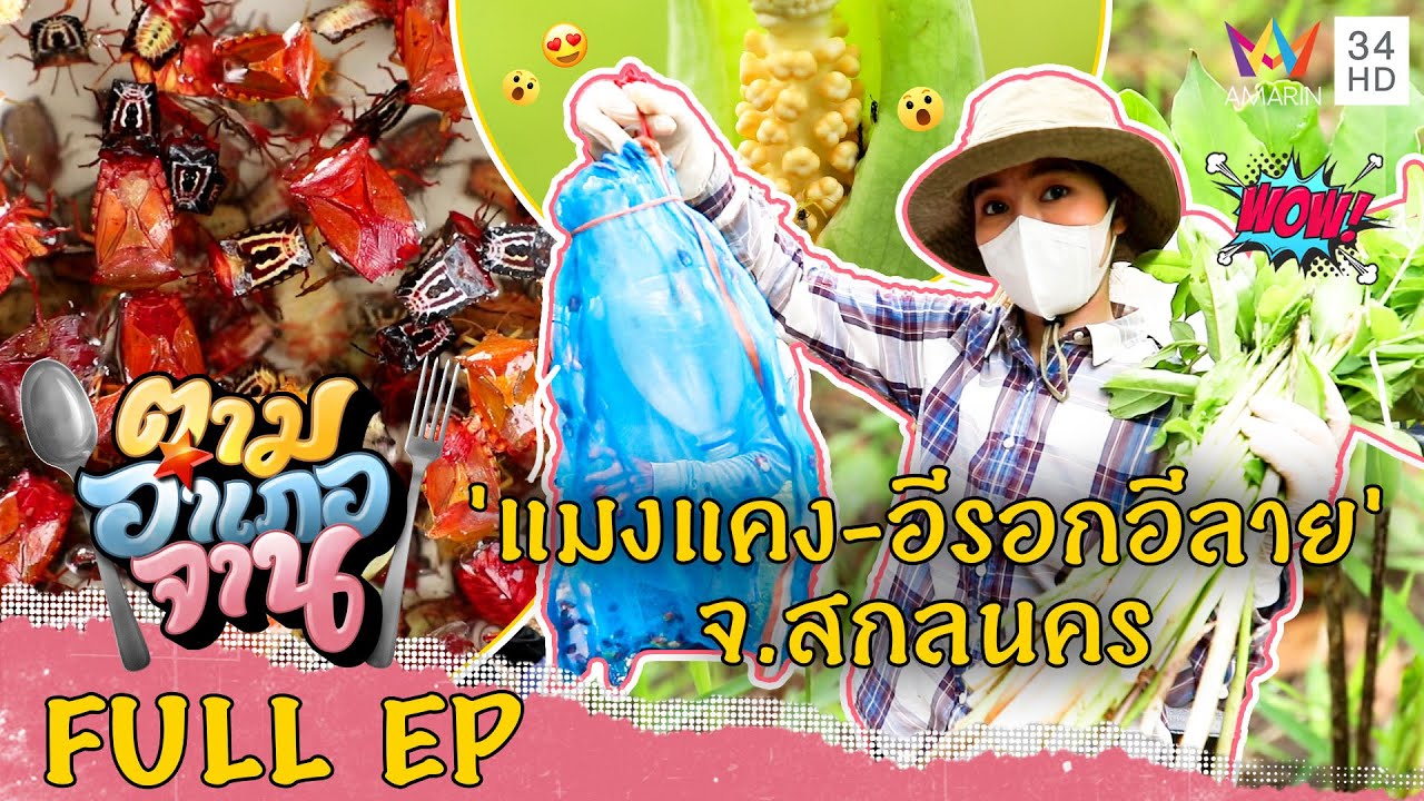 'แมงแคง-อีรอกอีลาย' จ.สกลนคร | ตามอำเภอจาน | 28 พ.ค.65  Full EP | เนื้อหาที่เกี่ยวข้องร้าน อาหาร บ้าน อํา เภ อที่มีรายละเอียดมากที่สุดทั้งหมด