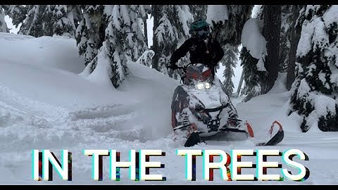 IN THE TREES! A BIRD CHASSED ME!!   MORE POLARIS 9R RIDING