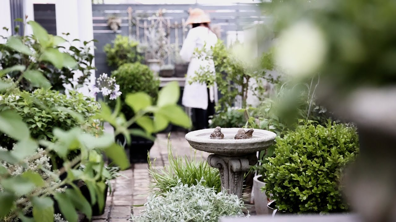 The Basic Tasks TO DO to Keep a Garden / Small Potting