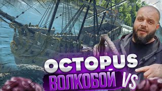 Волкобой vs Octopus в World Of Sea Battle!