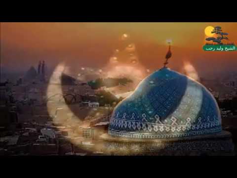 صفقات رابحة الشيخ وليد رجب