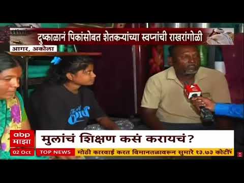 Akola Farmer : दुष्काळानं पिकांसोबत शेतकऱ्यांच्या स्वप्नांची राखरांगोळी