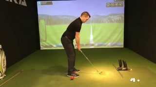 Basic Setup: Posture & Weight distribution.