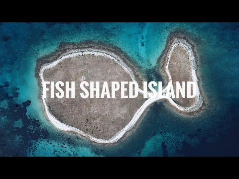 Sea Kayaking: Visiting the Fish Shaped Island