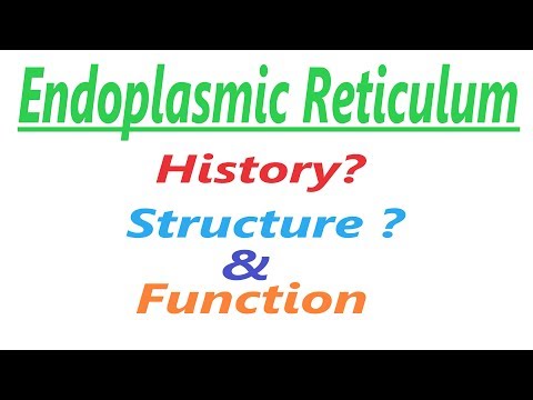 What is Endoplasmic Reticulum, Structure and Function |  Biology | Cell #4