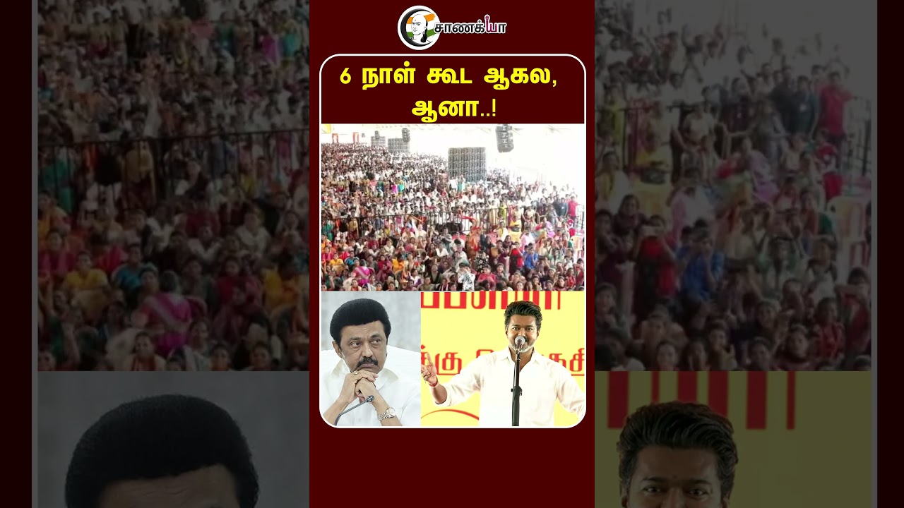 6 நாள் கூட ஆகல, ஆனா..! | #shorts | CM Vijay | TVK | DMK