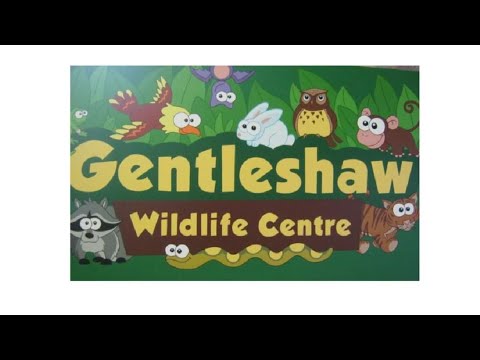 An Adventure at Gentleshaw Wildlife Sanctuary!