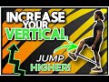 9 Exercises to INCREASE YOUR VERTICAL! (Jump Higher)