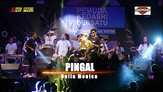 PINGAL Della Monica Live One Pro (Pemuda Kedasri Bersatu)