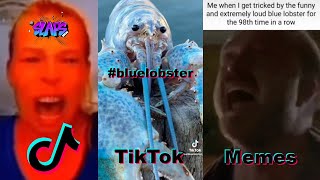 This is Not a Blue Lobster Compilation, Blue Lobster is not the new Rick Roll by slaps.social 161 views 1 year ago 4 minutes, 24 seconds