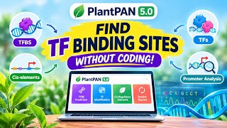 How to find TF Binding Site  | Cis and Trans Elements | Promoter Analysis 