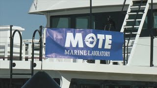 Scientists test red tide mitigation product in the St. Andrews Bay