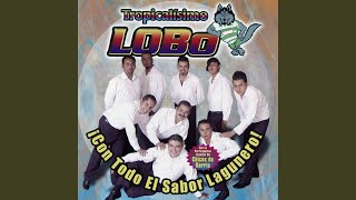 Fuego y Cenizas - Tropicalisimo Lobo