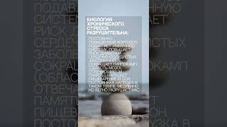 Как справляться с хроническим стрессом?
