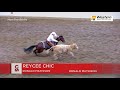 Calgary stampede 2019  july 12  working cow horse nonpro bridle winning run  ron mathison