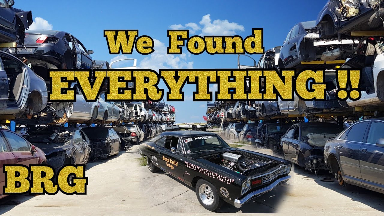 MASSIVE Junkyard Haul, Abandoned Classics and Exotic Cars. We found