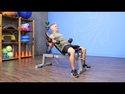 exercise 14.1 class 11 Beginner Strength Workout Back and Biceps Preview