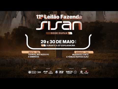 LOTE 11   FSSN 5402