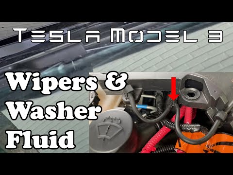 How to Add Washer Fluid to Tesla Model 3  Tesla Guide Shorts #shorts #tesla  