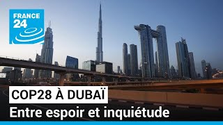 COP28 à Dubaï : entre espoir et inquiétude • FRANCE 24