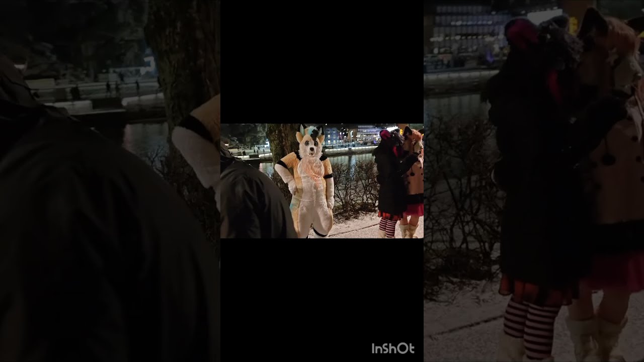 Valon polku (Light Art show) fursuit adventure.