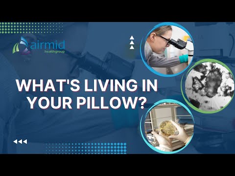 What&rsquo;s Living In Your Pillow?