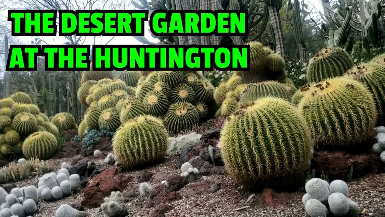 The Desert Garden at the Huntington