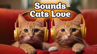 TOP 15 Sounds Cats Like ❤ Purrfect Tunes & Whispers to Attract & Entertain by Best for Cats 570 views 2 months ago 6 minutes, 21 seconds