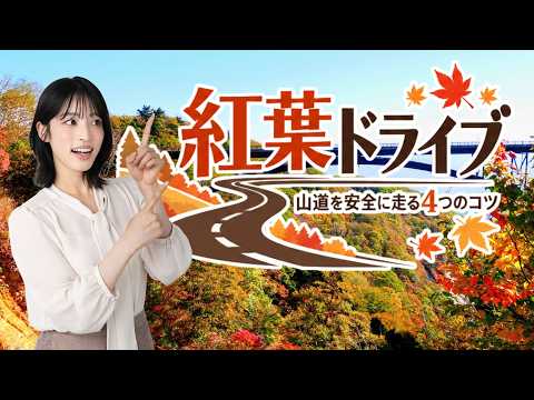 Tips for Driving During Peak Fall Foliage: 4 Points for Safe Mountain Driving