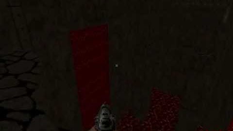 JumpMaze MAP45 "Durch Die Holle Gehen" in 1:13 (Check description for NEW, faster run)