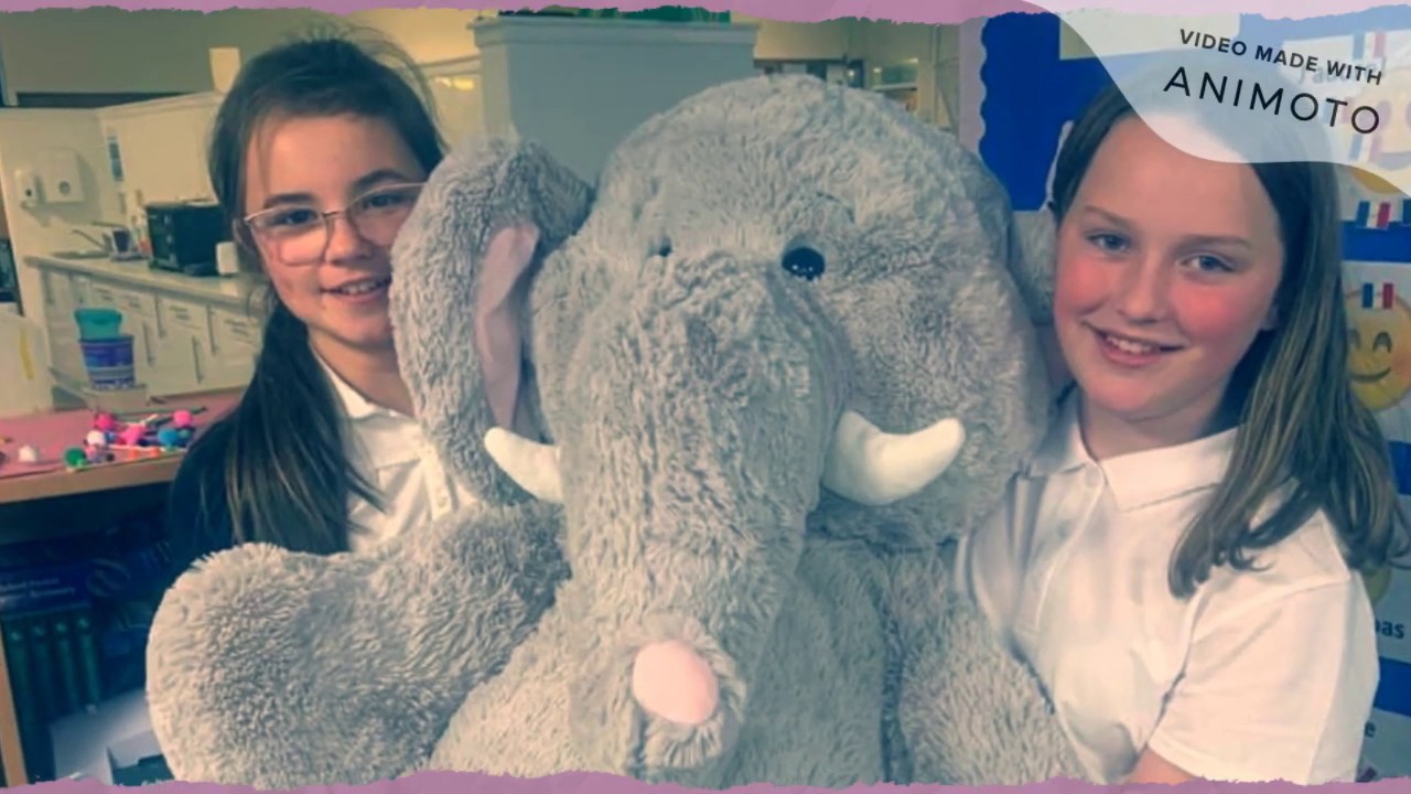 Primary Seven Leavers 2020