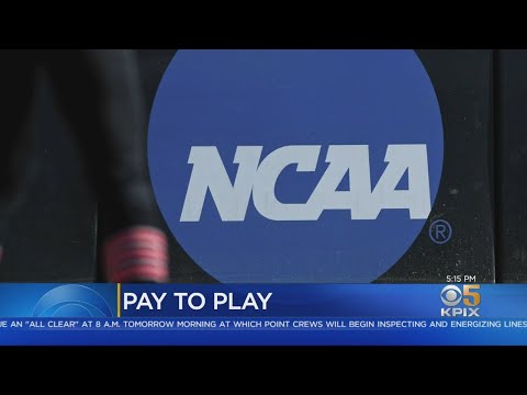 NCAA Board Approves Athlete Compensation For Image, Likeness