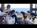 #100 【2024総集編】南熱海の家の宝物｜ネコ6匹暮らしの1年