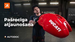 Laifhaki kodam P0031