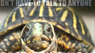 Turtle jokes screenshot 3
