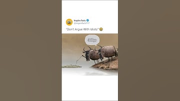 " DONT ARGUE WITH IDIOTS " funny video😅 #shortsfeed #shorts