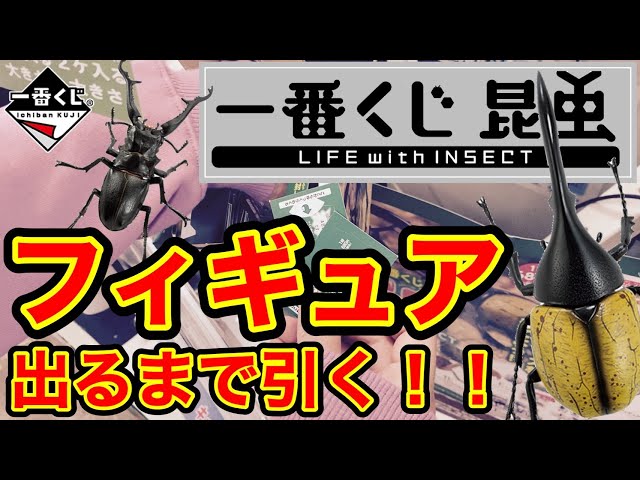 一番くじ】昆虫！ 上位賞フィギュア出るまで帰れません #193 - YouTube