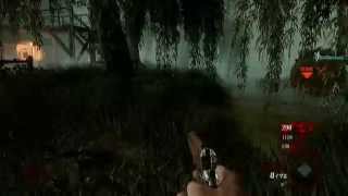 Call of Duty - Black Ops - Zombies Glitch Compilation