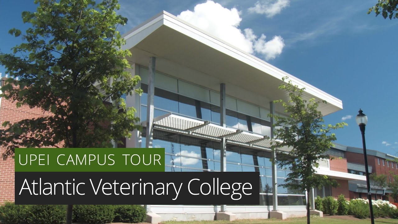 Atlantic Veterinary College - UPEI Campus Tour - YouTube