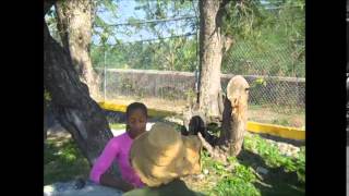 Brigitte Foster Coaching For MVP In Jamaica