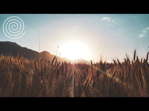 Peaceful Sleep Music! Easy Listening Songs for Faster Sleep!