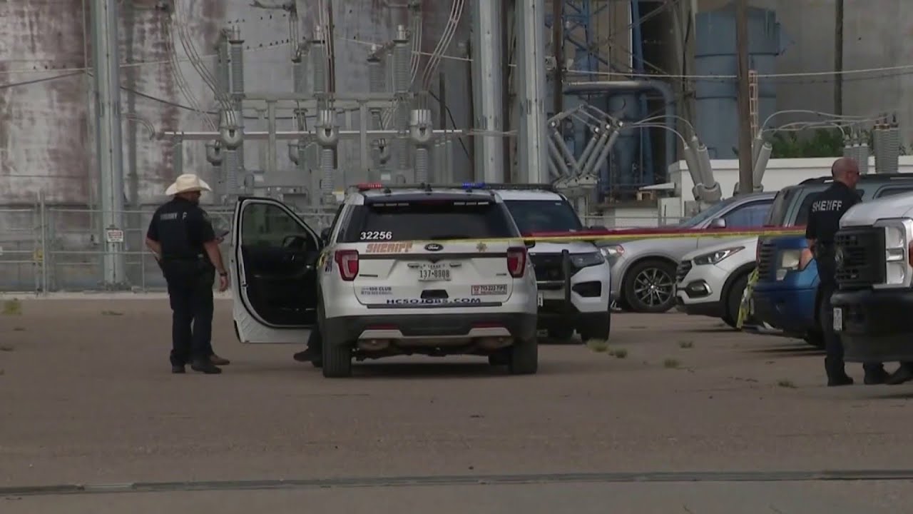 9-year-old girl dies after being left in hot car by mother during work ...