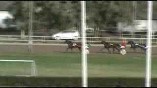 Tallinna Hipodroom 20080927 race 7 breedres cup 2 heat