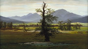 Thumbnail of Marisa Monte - A alma e a matéria