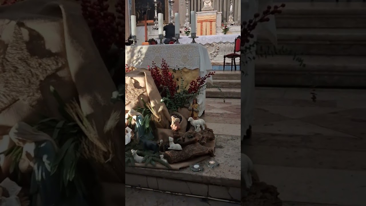 Joyeux Noël 🎅 🎅 🎅